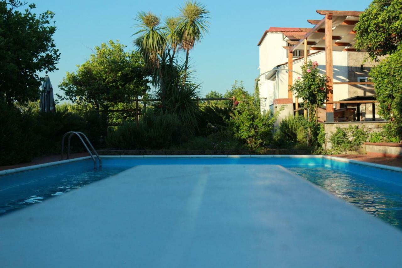Desiderio D'Ammore Villa Corbara  Exterior photo
