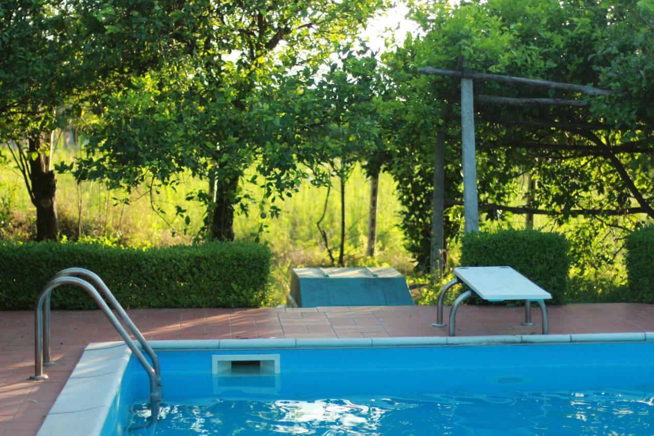 Desiderio D'Ammore Villa Corbara  Exterior photo
